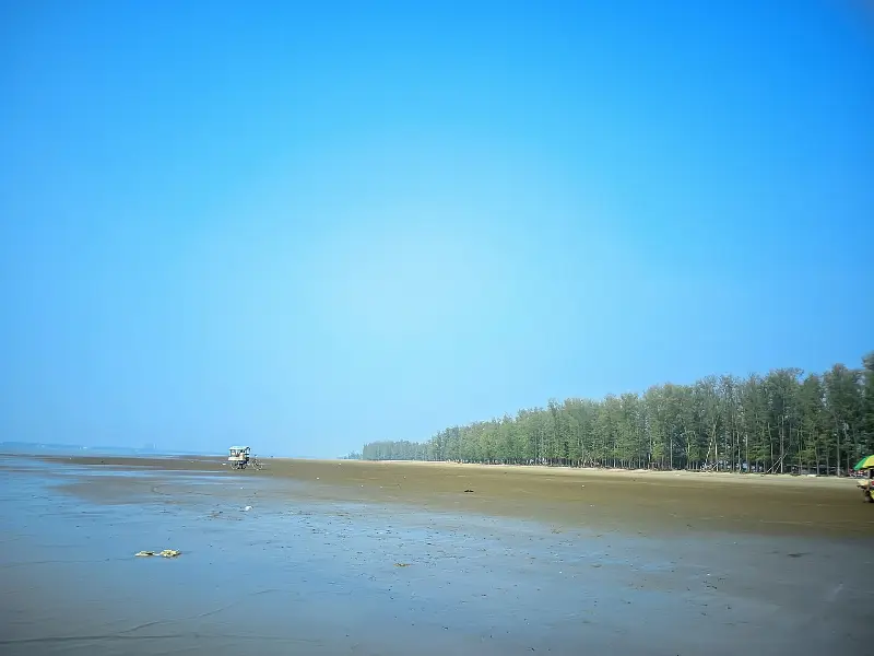 ঝাউবনে ঘেরা পারকি সৈকতের প্রশস্ত বালুকাবেলা